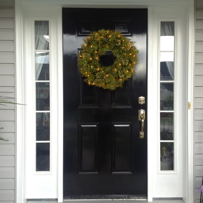 Greenery | National Tree Company Pre-Lit Artificial Christmas Wreath Green Wispy Willow White Lights Christmas Collection 24 Inches F2L4F251